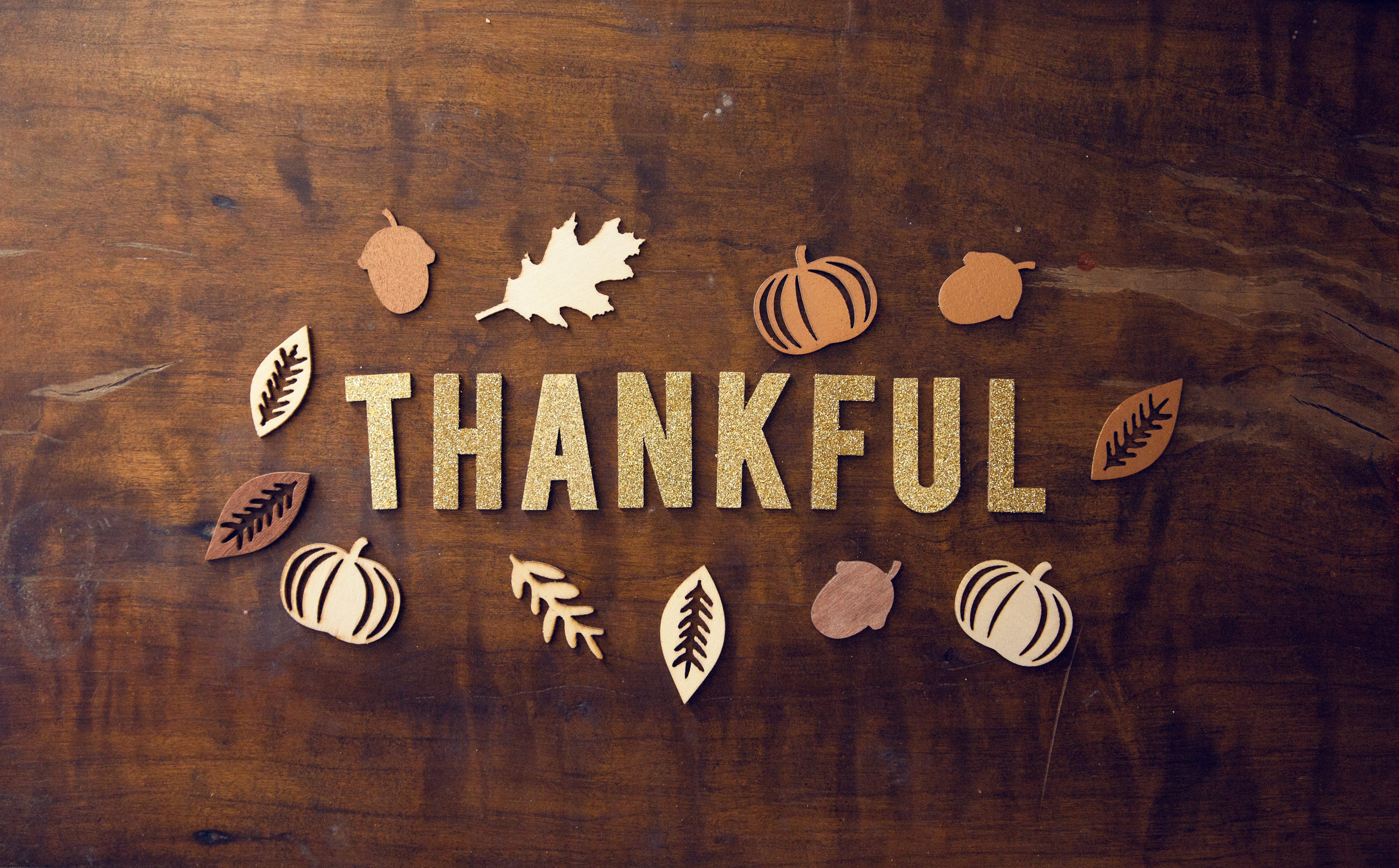 Thankful written with cutout fall leaves and pumpkins around it.