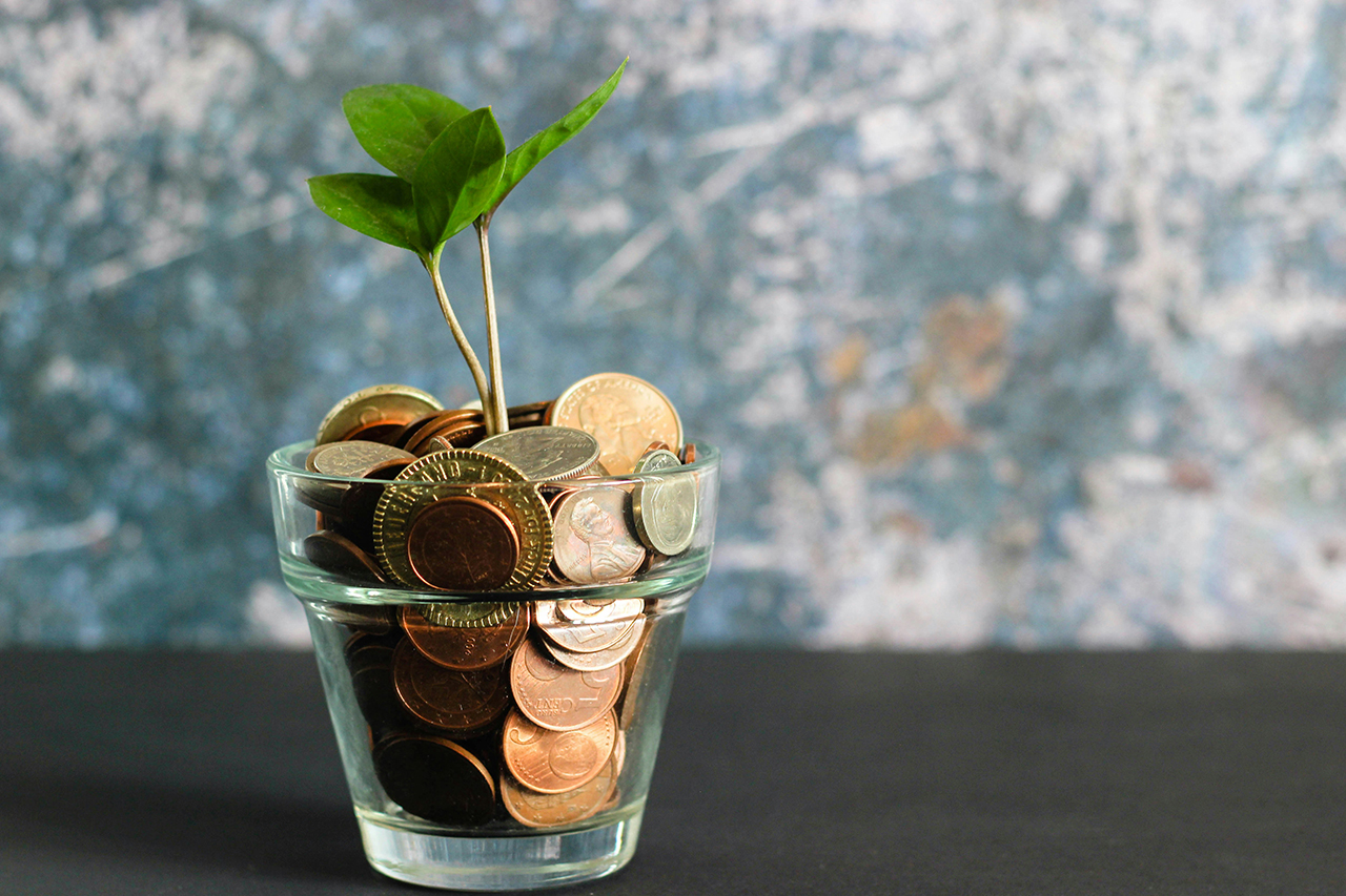plant in a jar of change
